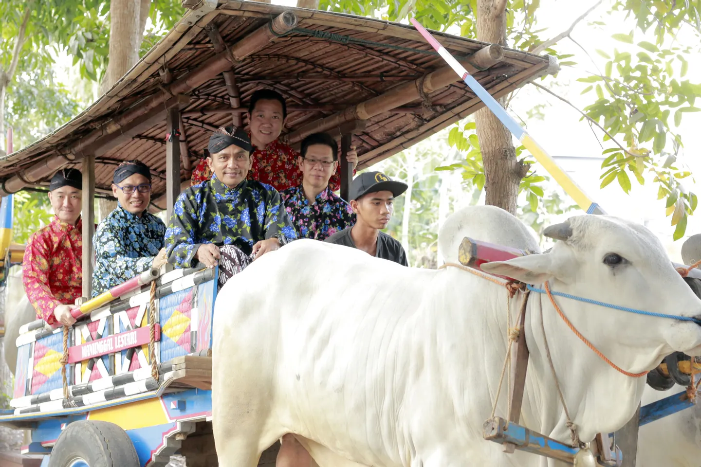paket wisata naik gerobak sapi di jogja dengan baju adat jawa